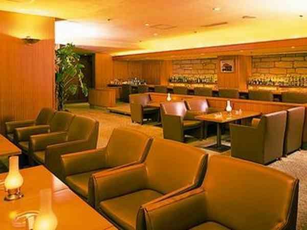 Fukuyama New Castle Hotel Екстер'єр фото